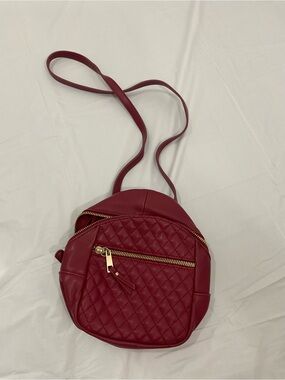 Stylish Quilted Red Crossbody Bag with Gold Zipper
